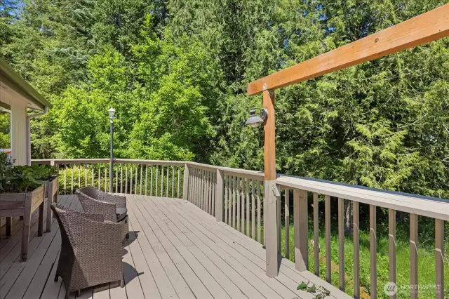 Back deck