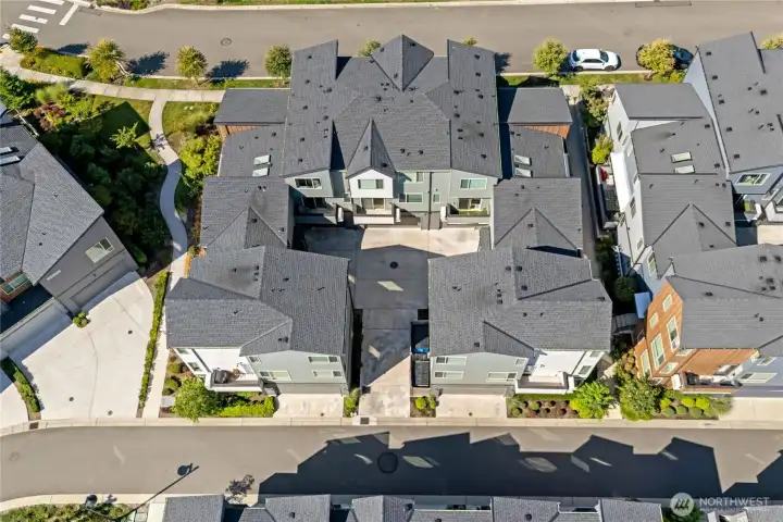 Birds Eye View