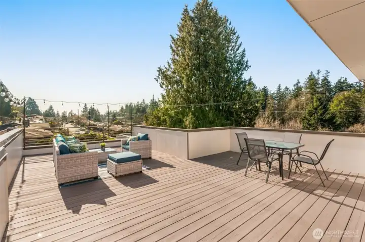 Enjoy Your Summer on the Expansive Rooftop Deck!