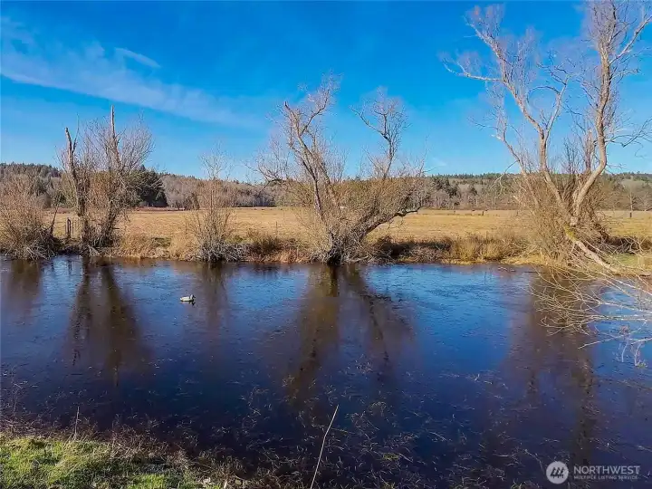 Duck pond with nice clear water. Great place for a dip after a farmers days work.
