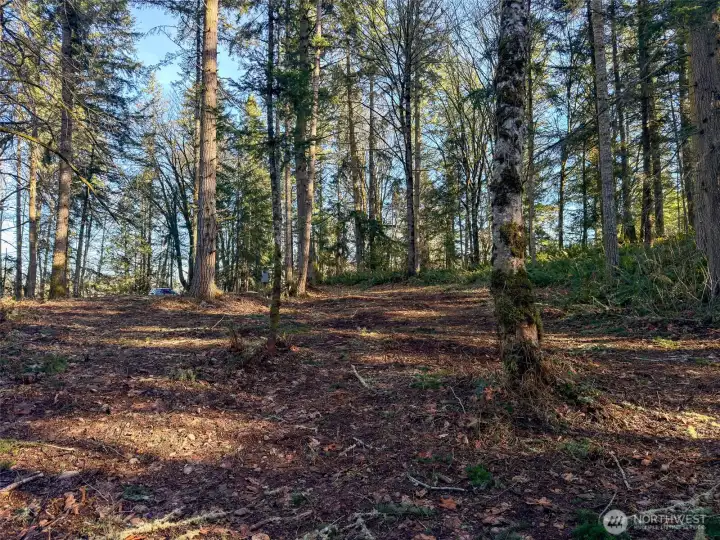 Cleared homesite with installed power and expired septic permit. Pick a place for a home... or 2.