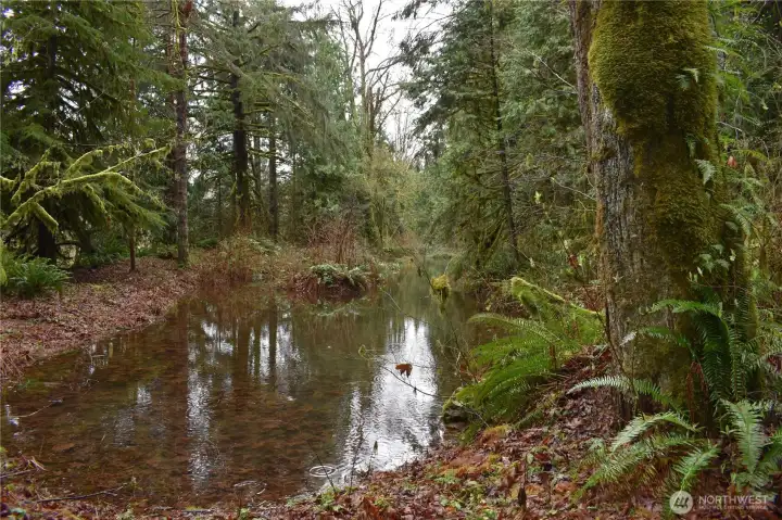Pond area, just adjacent to May Creek RD. This would be near to the SW portion of the propertyCliffs on property-this is just before the pond area, to the left as you pass through the entry gate