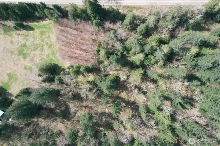 Continuing photo of field/meadow area