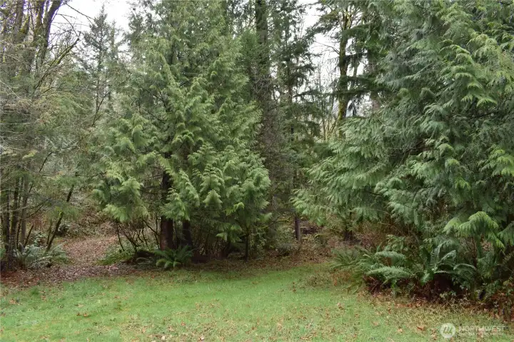 Walkable or ORV trail heading north out of the meadow/field area
