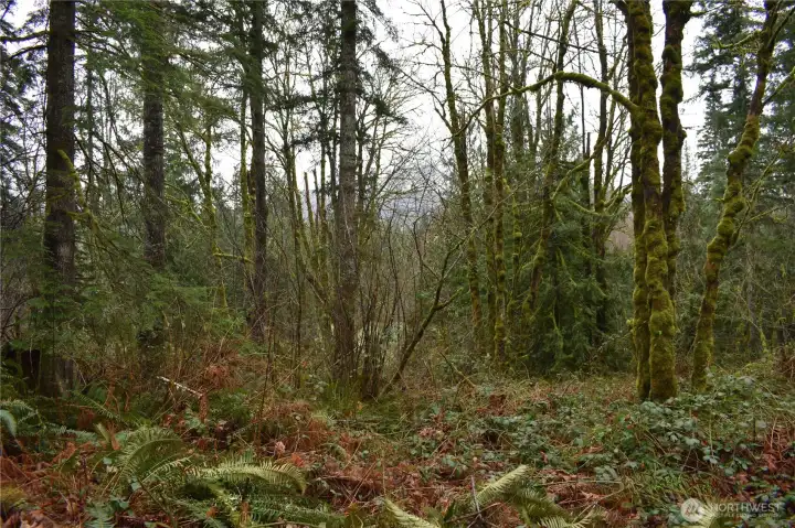 Looking back as you ascend up the trail from the meadow/field down below