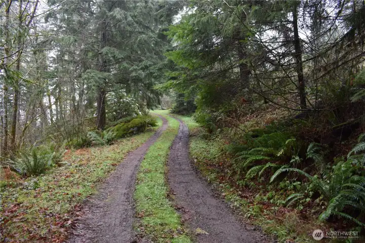 Cleared area on the right, previously noted as a potential building site. A walkable/ORV-friendly, only trail runs behind the area; caution is advised for non-ORV vehicles, especially in wet conditions due to soft ground. The trail leads to the NE corner of the property and eventually connects with the outer loop, bringing you to the pond and entry gate. As you head up the trail, there’s another rock outcropping and a meadow on the left.