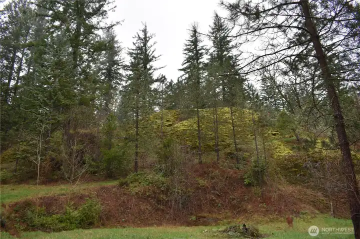 Continuance of cleared area with trail to the rear that is walkable/ORV; this trail would take you to the NW portion of the property.  It does eventually bring you back down to the backside of the pond area and circles back to the entry gate.