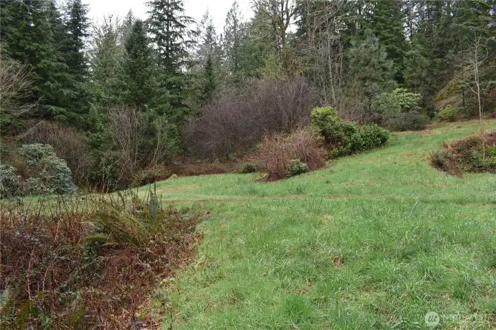 So many varieties of rhododendrons, some native to the US and some from other countries.  Many years of TLC went into the transplant and nurturing of these beautiful additions to the property.