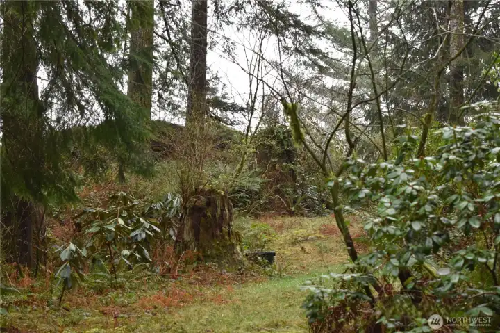 Various "water stations" throughout the property