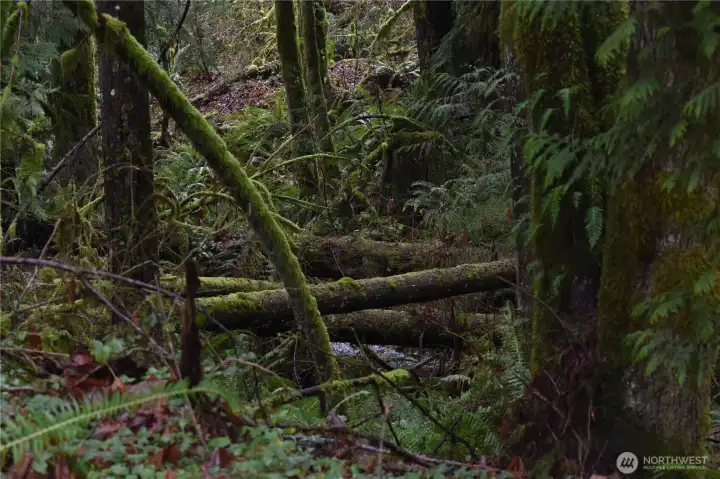 trails, trails, trails