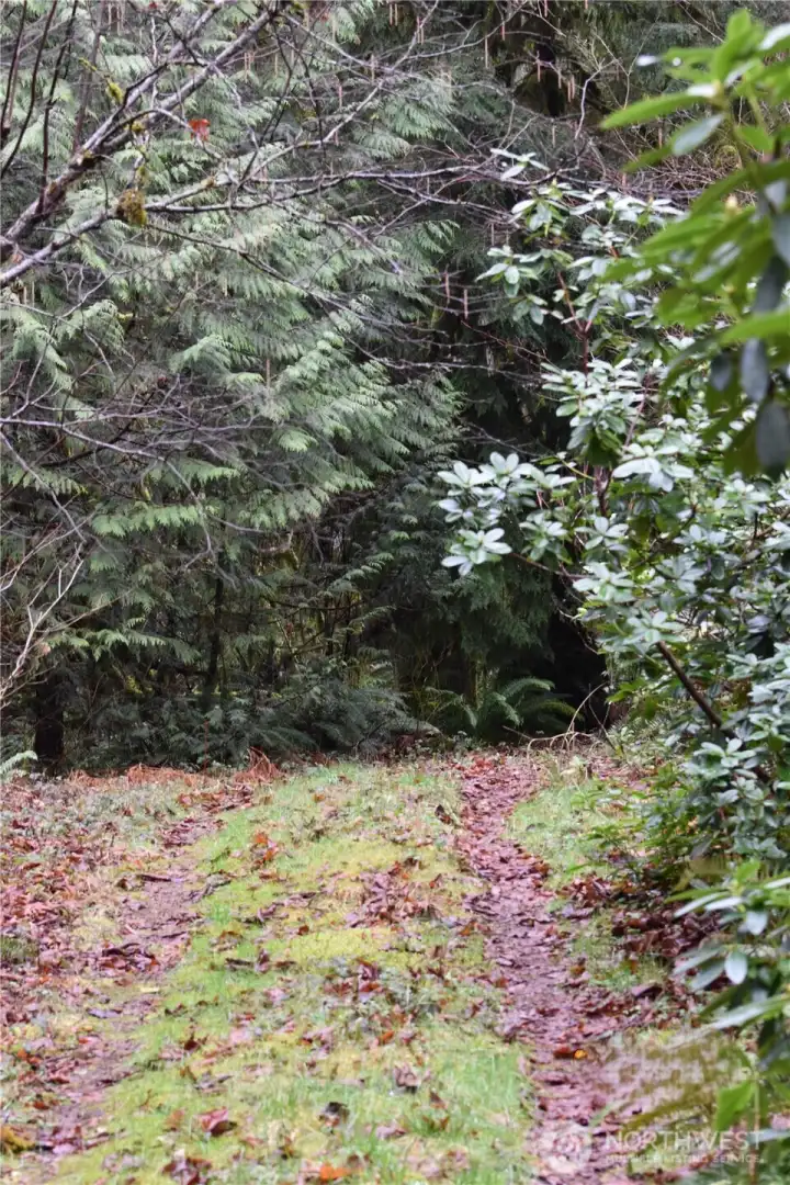 What new adventure will this road take you on?