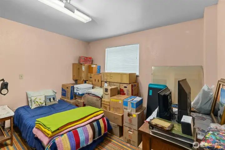 Bedroom #3 (Lower Level)