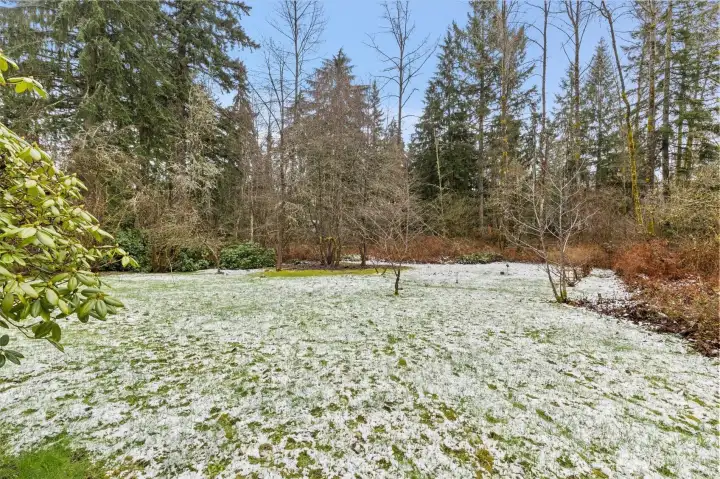 Large Flat Front Yard of Existing Home's 1-Acre Parcel