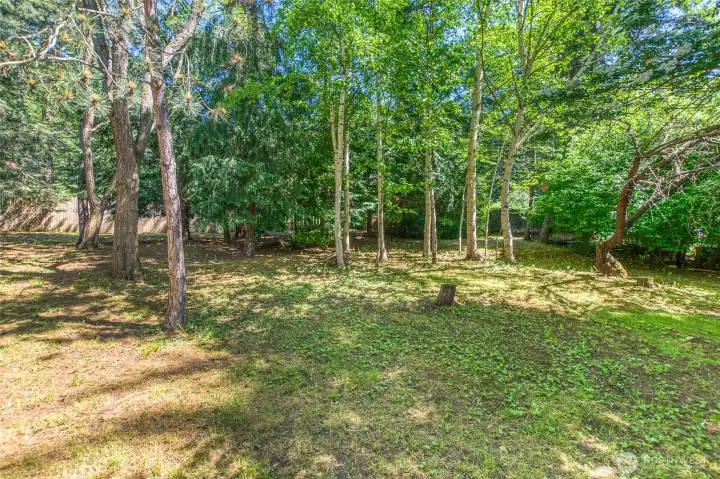 Lovely aspen grove in the northeast portion of the lot. Lovely aspen grove in the northeast portion of the lot.