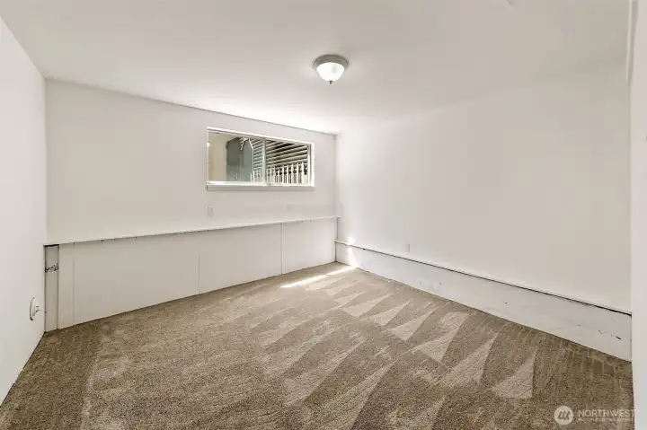 Lower Bedroom/Flex Space
