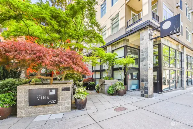 Welcome to the Vine where lush foliage guides you to the secure entrance with a 24 hour concierge, providing the utmost in privacy and security.