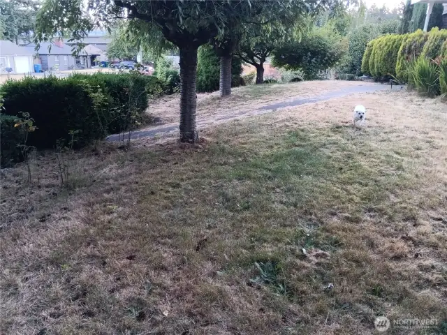 Front Yard Facing 127th Street/Front Street Parking spaces.