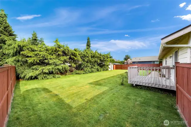 Large fenced back yard.  Very private with mature landscaping