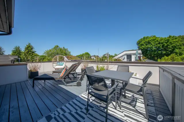 Enjoy the views of the neighborhood and Space Needle from the rooftop deck.