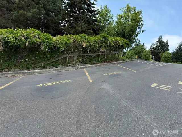 Ample Visitor parking