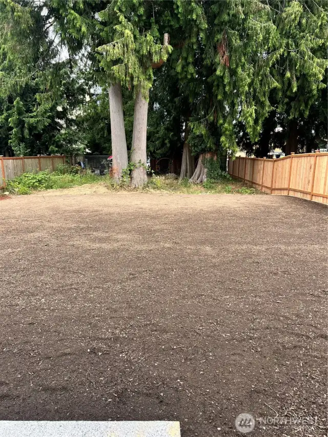 Rear yard prior to hydroseeding