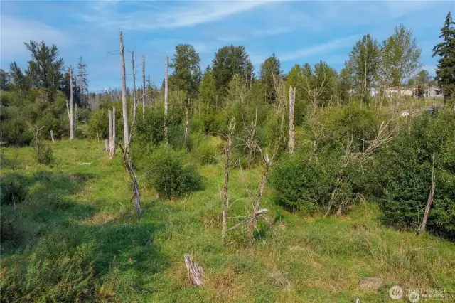 Here is view from middle of property with some old growth trees and shrubs on property