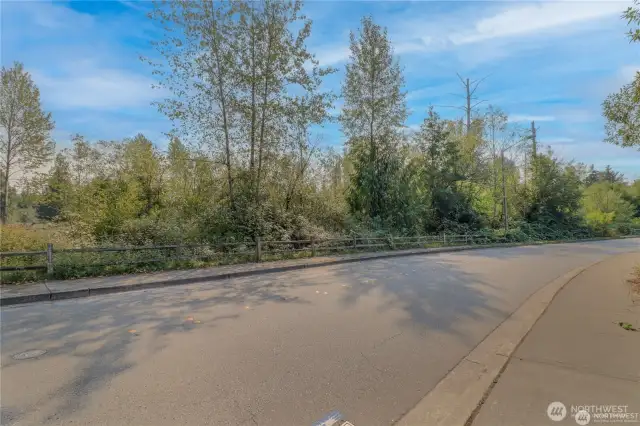 Here is front view of property with access on the left to property.  Sewer,water and power in front of the property to connect into property easily