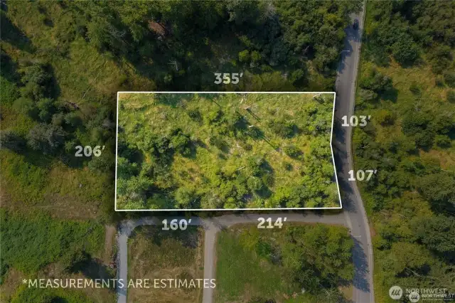 Here is the aerial view of property with the site dementions and access next to property