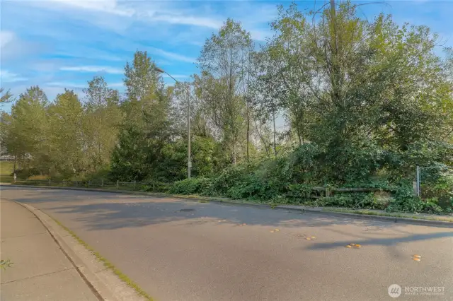 Second view of property from the street with sidewalks and all utilitties ready to connect to