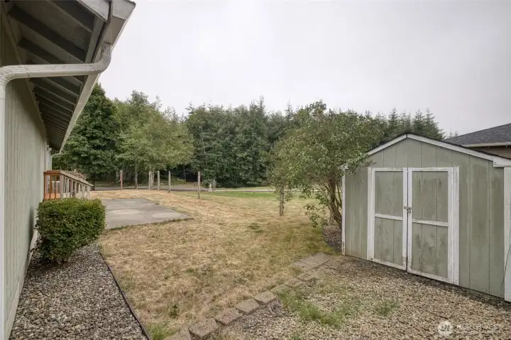 Backyard/Garden Shed