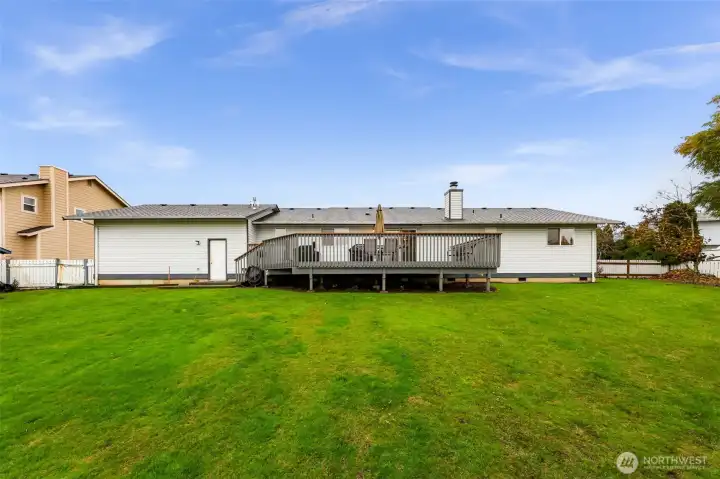 Plenty of space to run around!