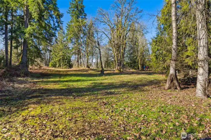 Another view of the acreage