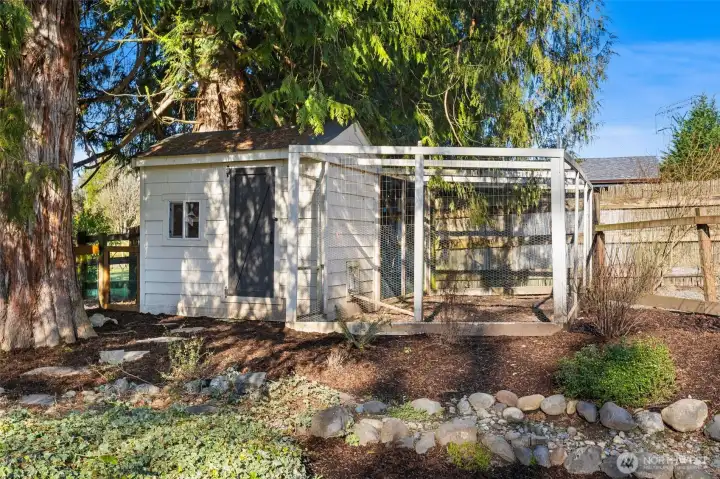 Your very own chicken coop