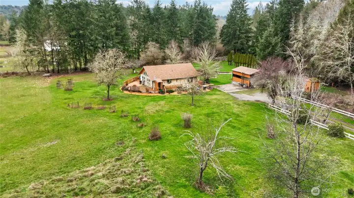 Variety of Fruit Trees