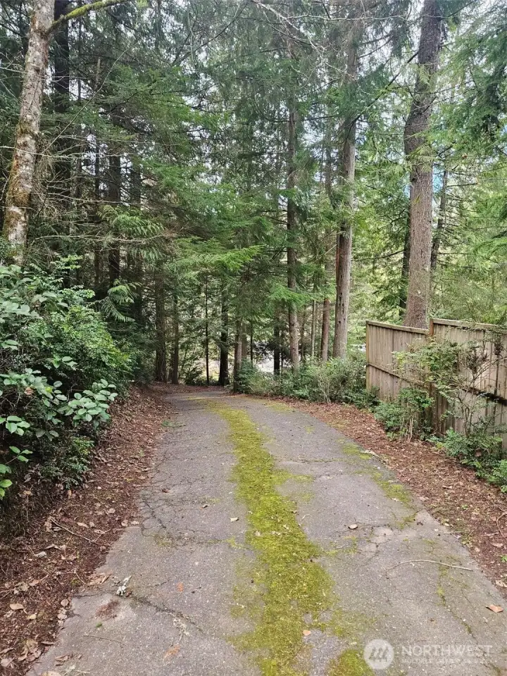 DRIVEWAY TO SECLUSION