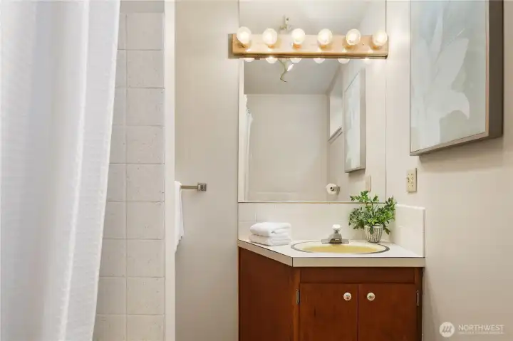 Lower level full bath.