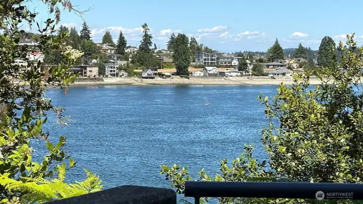 What an amazing treat to see this gray whale just off the north end of the building.