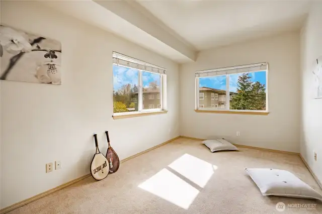 Large Second Bedroom