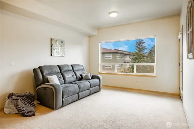 Large, Large Living/Grat Room with Lots of Natural Light