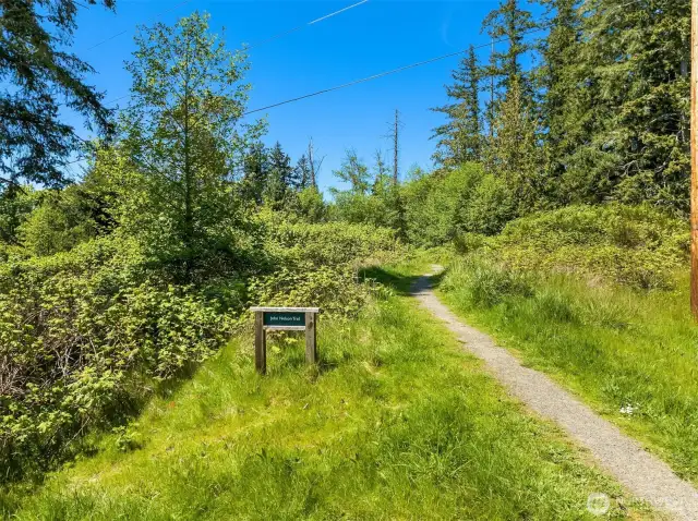 This trailhead (directly across NE Vineyard Lane from A102’s front door) leads through a meadow to a stand of alders, then through acres of healthy native forest gracing a breathtaking ravine. To live in the heart of Winslow but has so much nature just out the door is quite a rare treat.