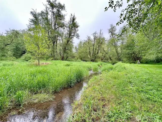 Year round creek