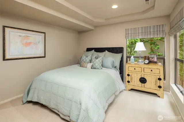 Basement Guest (3rd) Bedroom