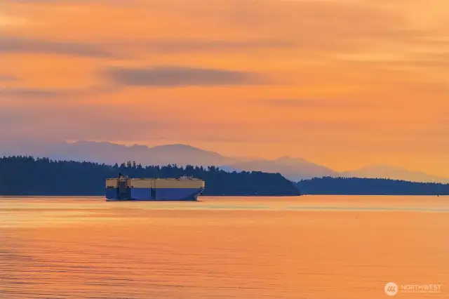 World traveling vessels sailing along the deep waters of Puget Sound with the Olympic Range in the background.