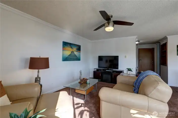 Comfortable Living room is spacious for your large furniture.