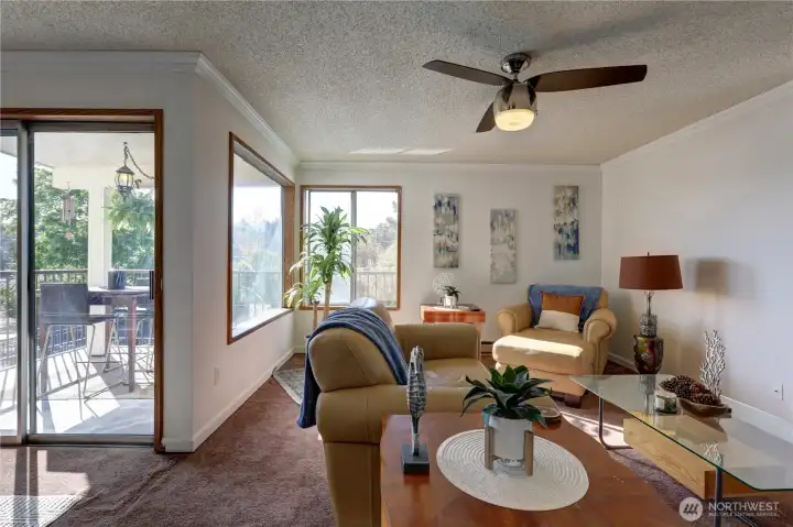 As you can see, there is plenty of light filtering through the large windows.