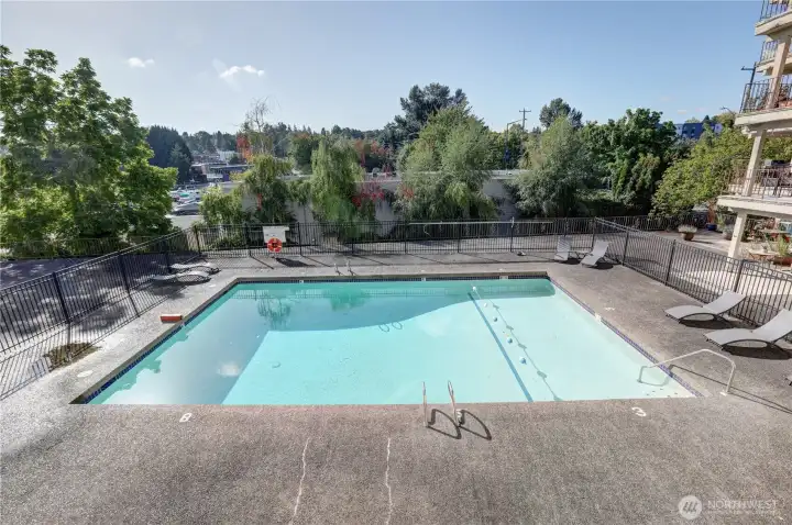 Another view of the pool.