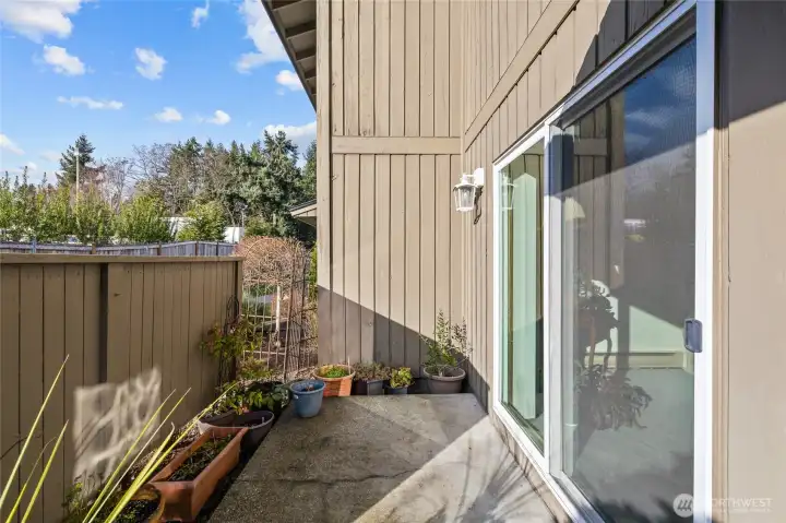 Patio area with direct access to the living room.