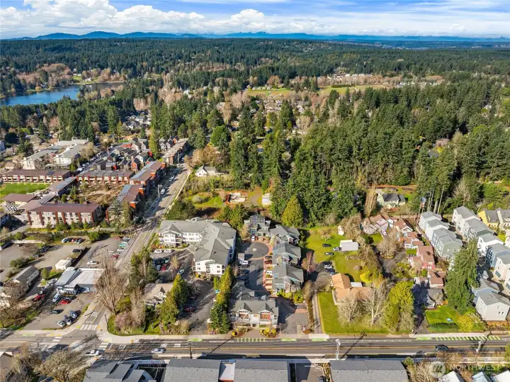 Aerial along Madison Avenue