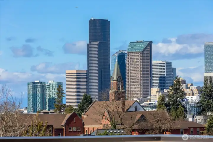 Views of Downtown from the rooftop