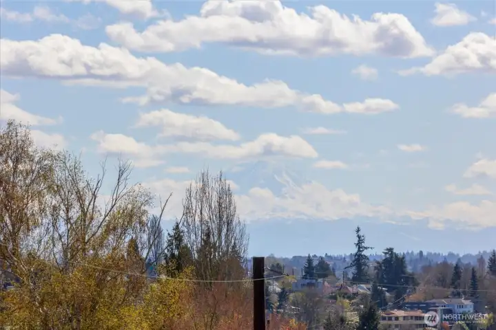 On a Clear Day Mt. Rainier Shows Herself in all of Her Glory